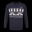 CCM Holiday Ugly Sweater