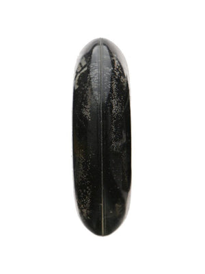 Revision Steel Firm Black Wheel (Single)